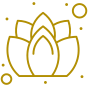 Comprehensive Wellness Assessment_Icon