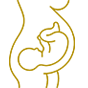 Panorama Non-Invasive Prenatal Screening_Icon